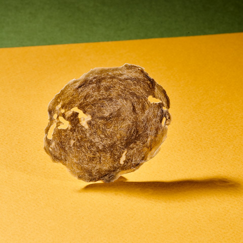 01_MT11_960px