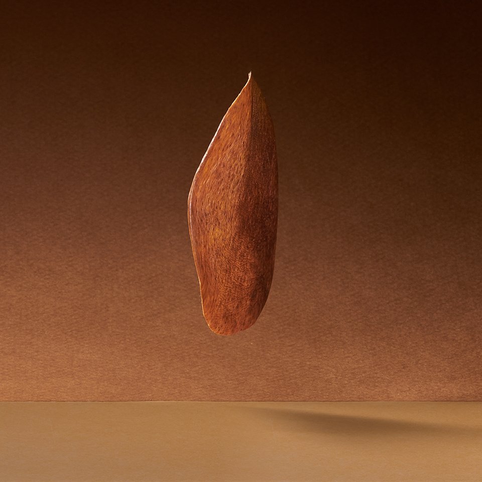 03_MT10_960px