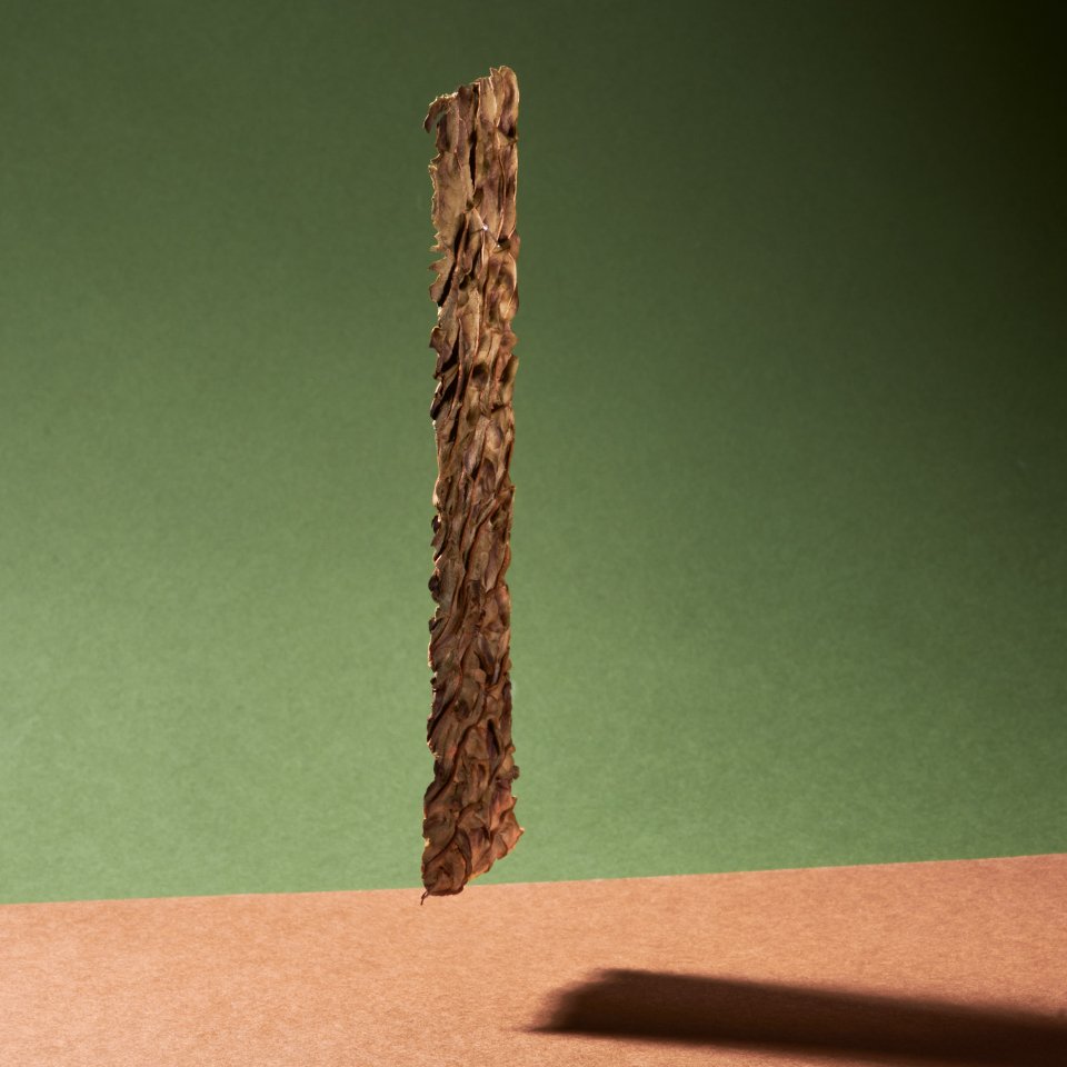 03_MT13_960px