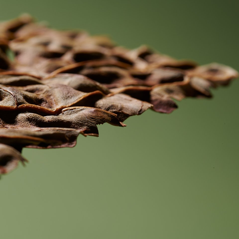 04_MT13_960px
