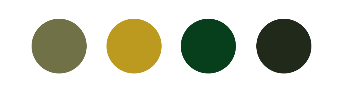 06_MT9_960px